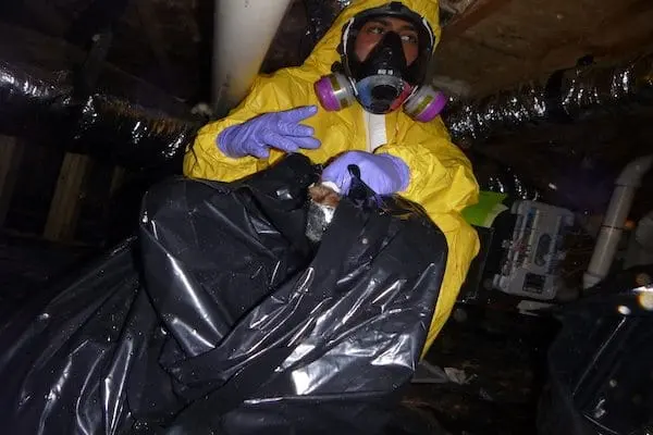 Sewage & Black Water Cleanup in Olympia, WA
