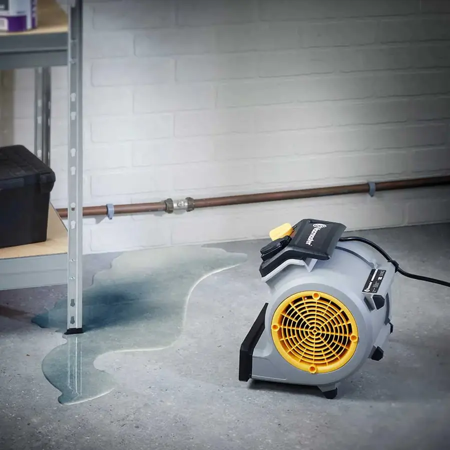 Sump Pump Failure Cleanup in Olympia, WA